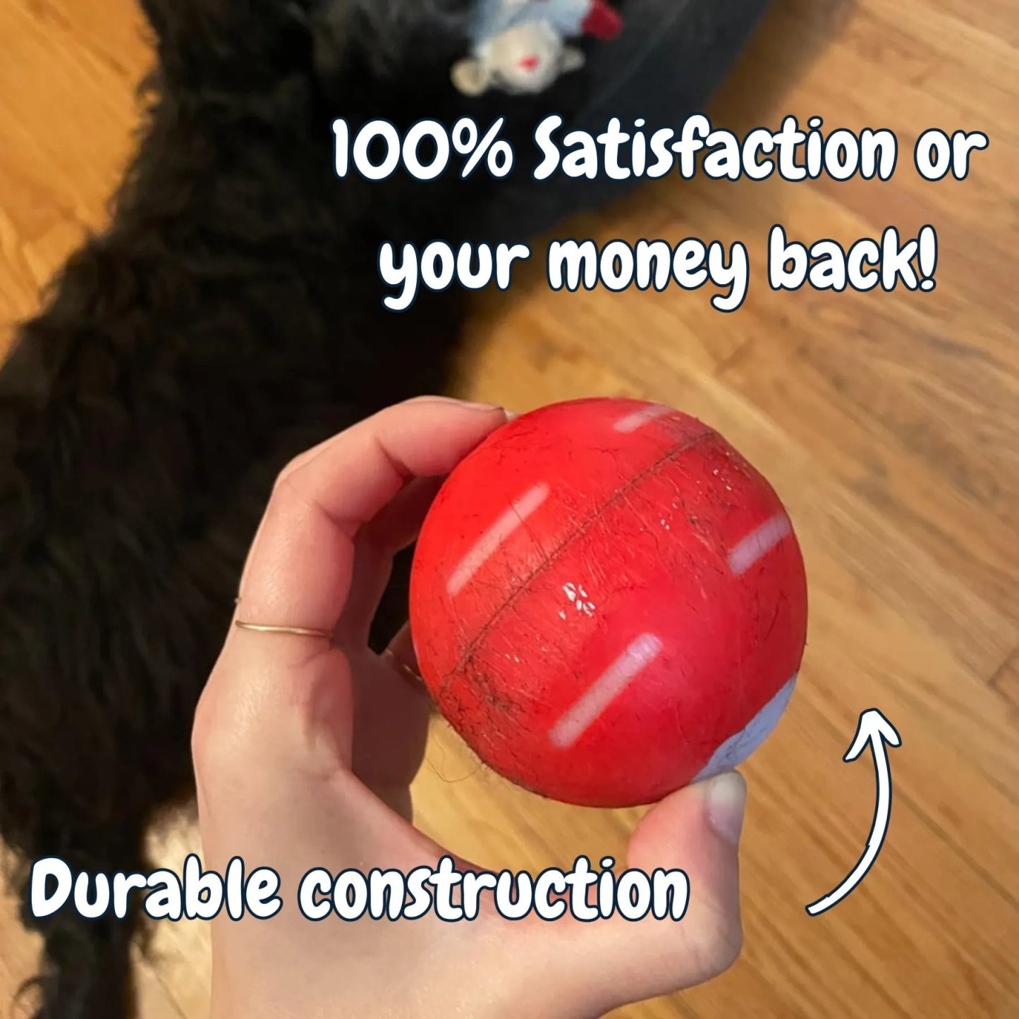 🔥LAST DAY SALE 50% OFF - Interactive Dog Toys Dog Ball