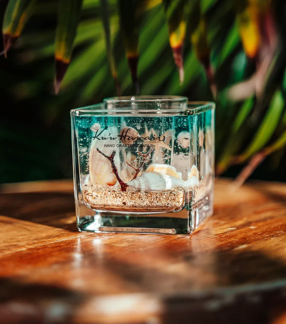 Aquarium Ocean Candle Gift Set Forever Holder + 3oz Gel Refill