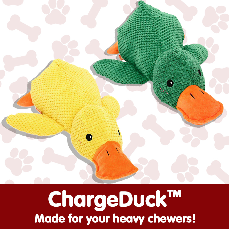ChargeDuck™
