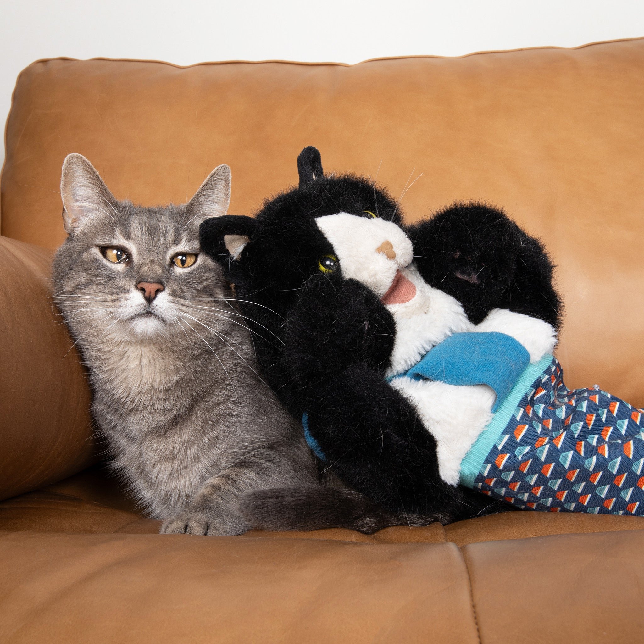 ✨Limited Sale 49% OFF✨CategoryeTM Cats Puppet Wrestler🐾