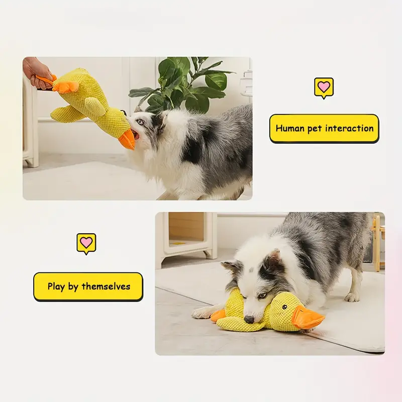 ChargeDuck™