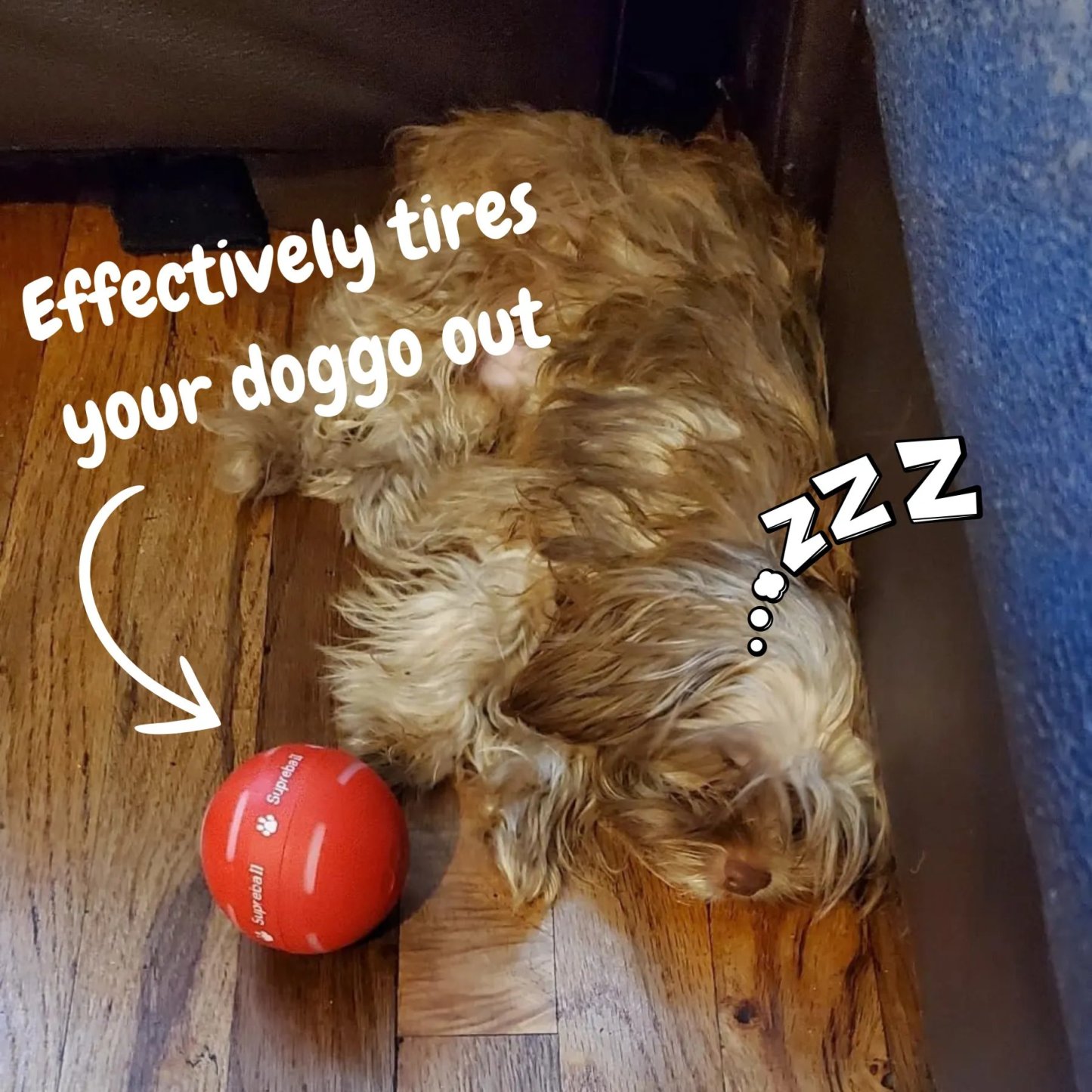 🔥LAST DAY SALE 50% OFF - Interactive Dog Toys Dog Ball