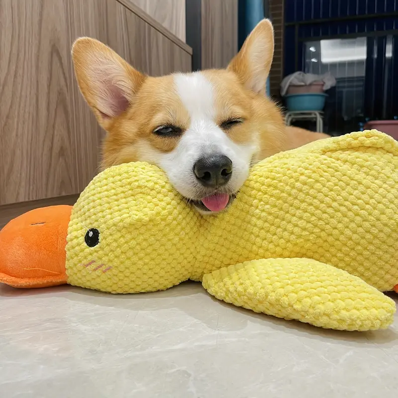 ChargeDuck™