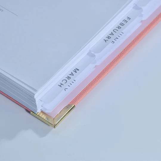 🔥Final Hot Sale-49% OFF🔥 2025 Budget Planner | Organized Planning - Buy 2 Free Shipping