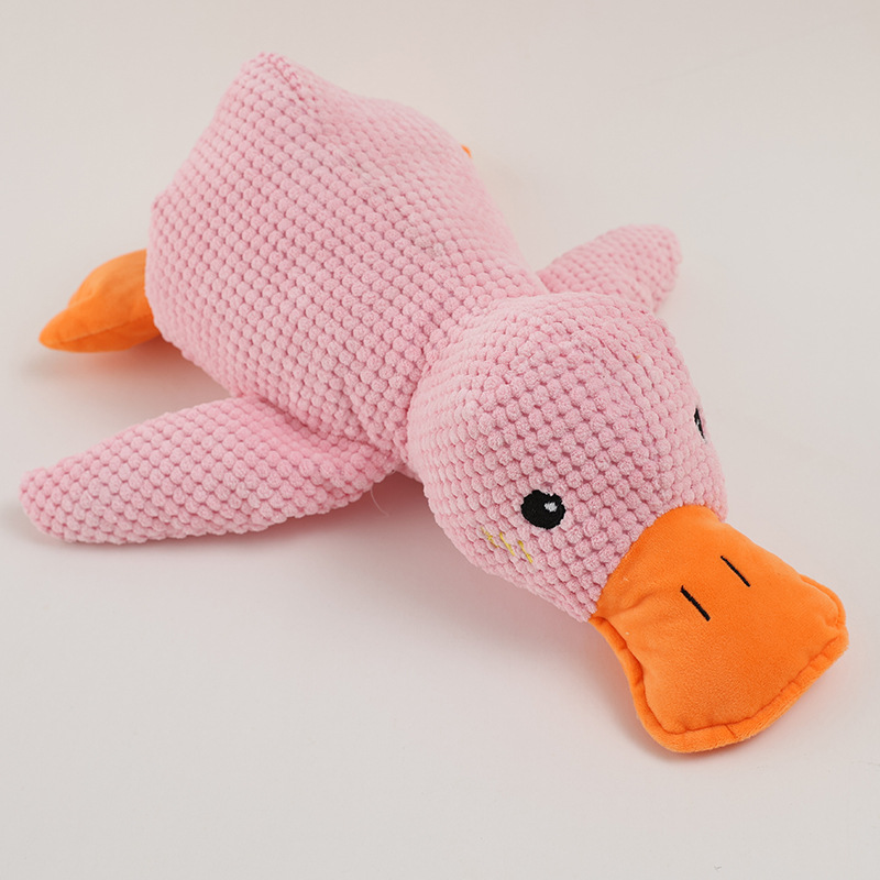 ChargeDuck™