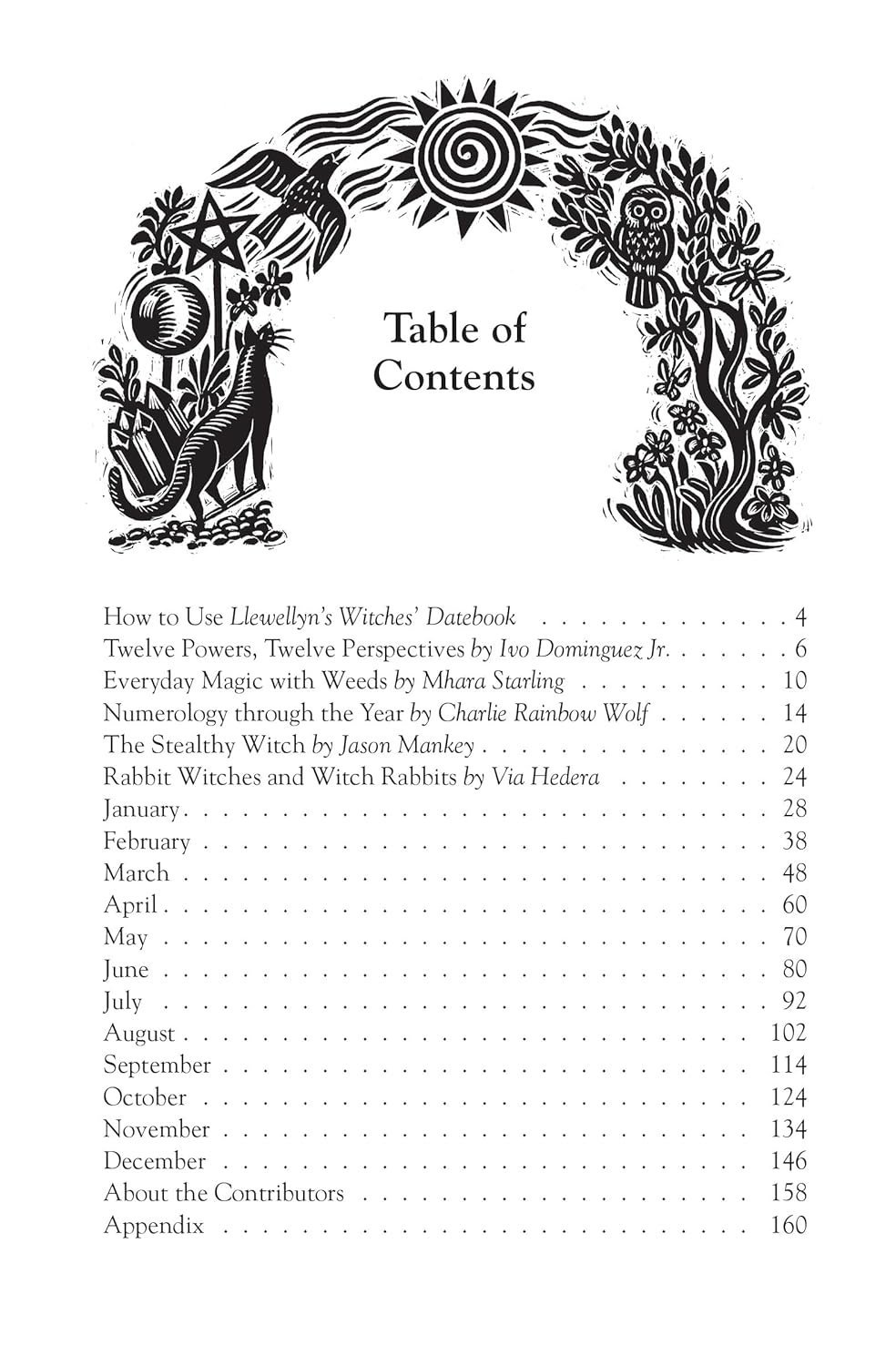 🔥2025 Hot Sale 49% OFF - Mystical Planner for Magical Living