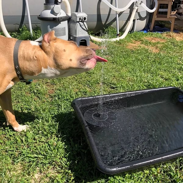 🔥2025 Hot Sale 49% OFF - Solar Powered Water Fountain