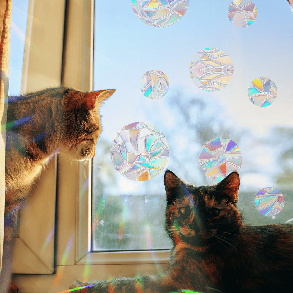 🎁2025 Hot Sale Now — Rainbow Prism Electrostatic Glass Sticker