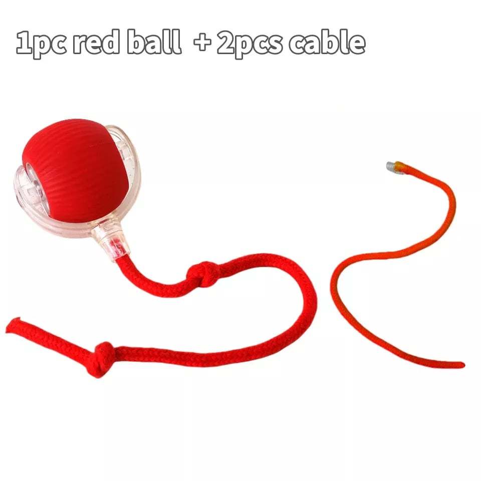Automatic Rolling Ball Toy