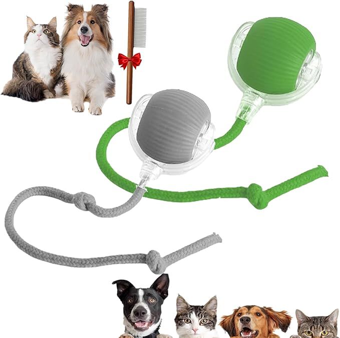 Automatic Rolling Ball Toy