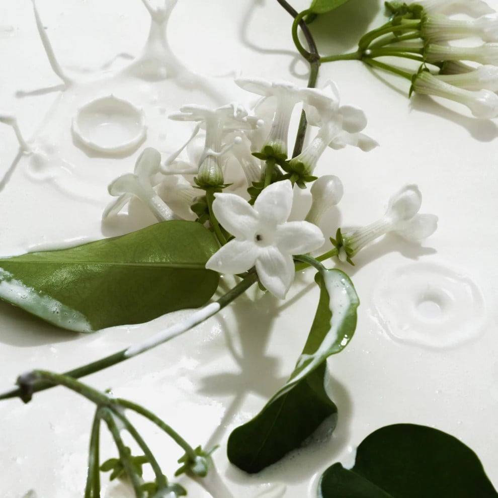 [🏆2025 New Arrival🏆]🌿Vanilla & Cream Body Mist Duo