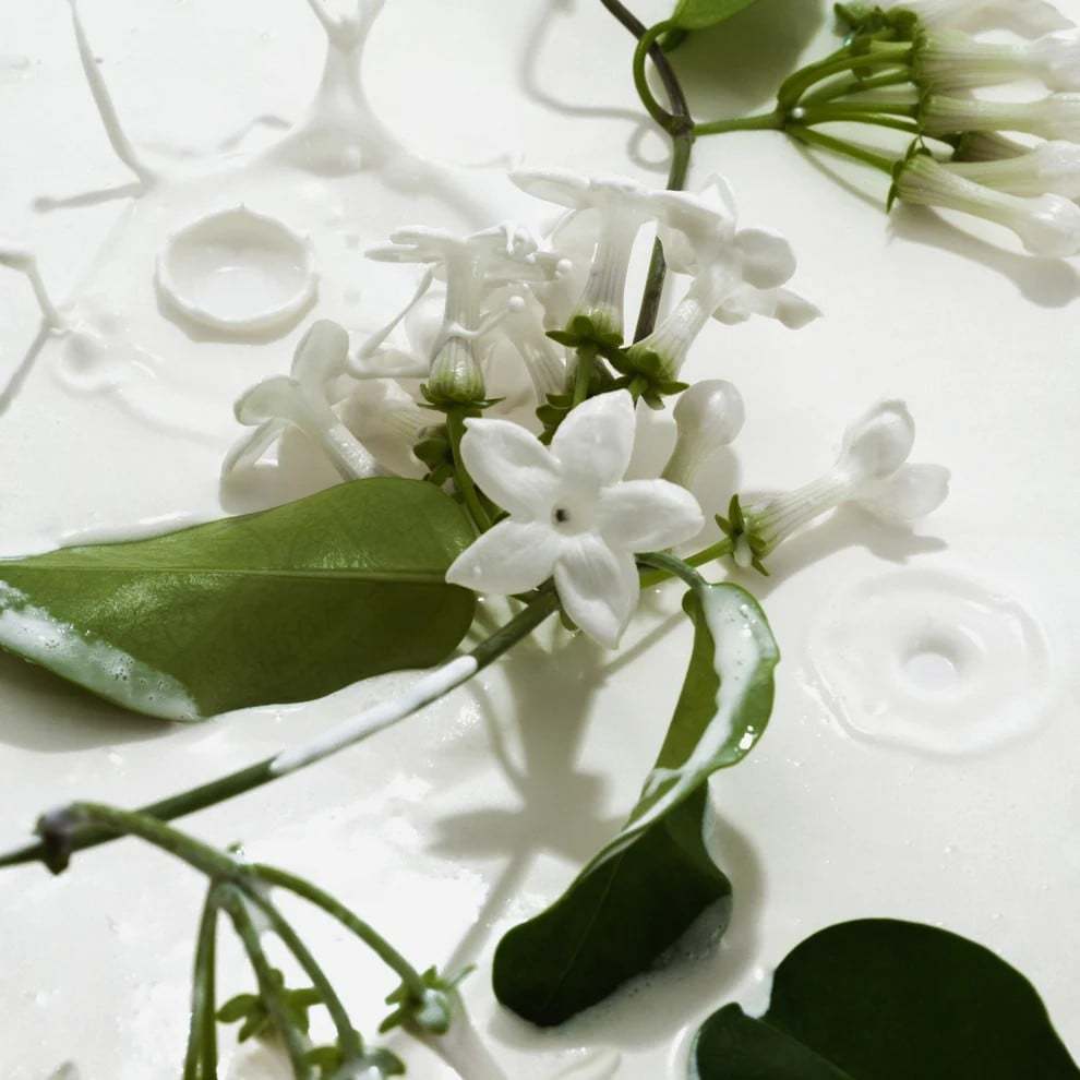 [🏆2025 New Arrival🏆]🌿Vanilla & Cream Body Mist Duo