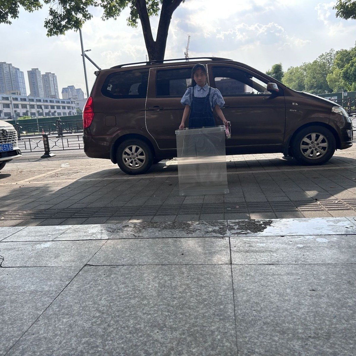 A Real Working INVISIBILITY SHIELD