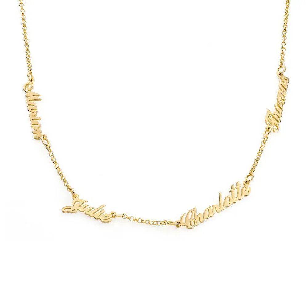 Gold Plated Personalized Family Members Name Necklace-silviax