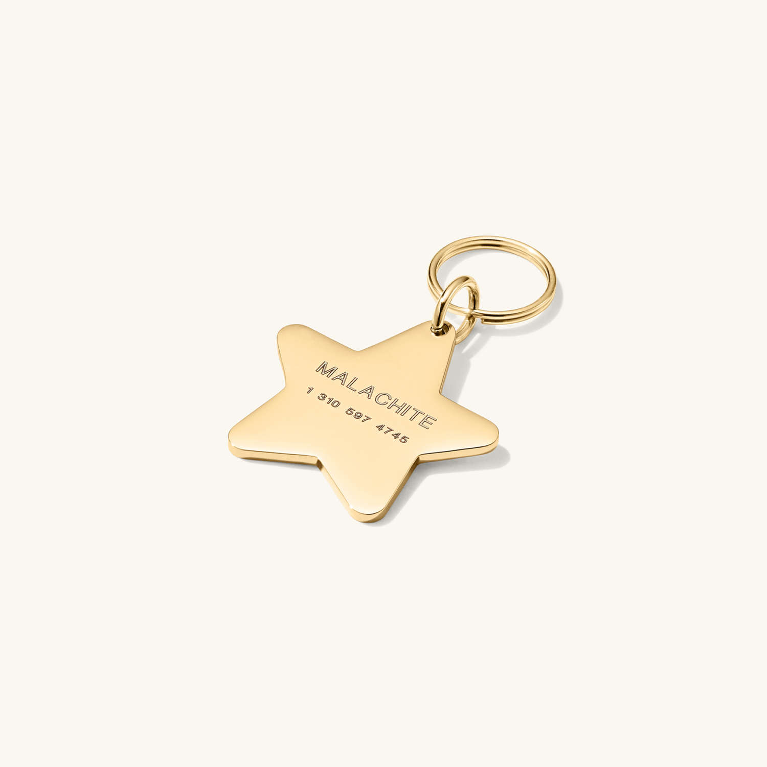 Gold Plated Star Pet Tag Star Pendant