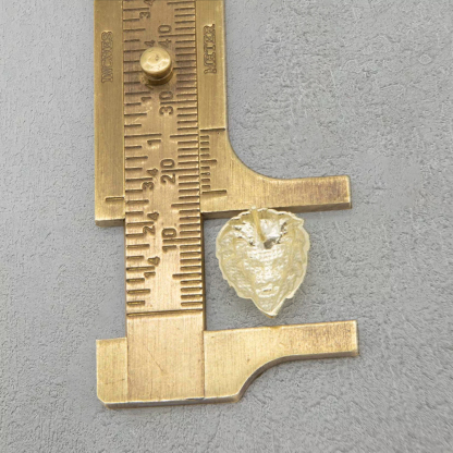 Lion Heart Stud Earrings Gold Plated Earrings