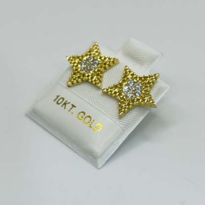 Gold Plated CZ Star with RX Border Earrings