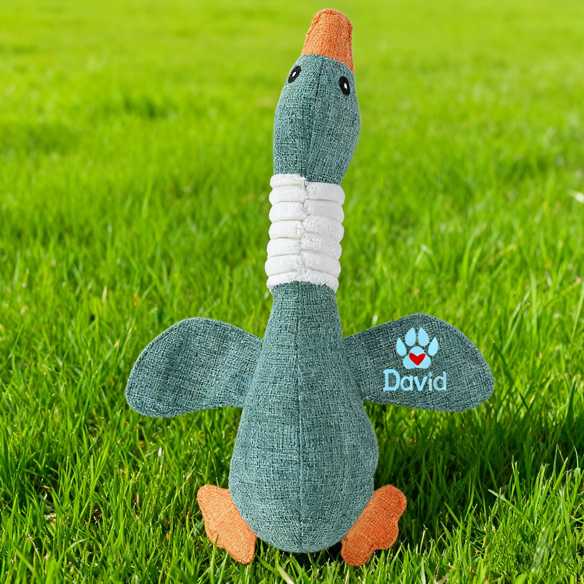 Personalized Pet Unique Duck Squeaky Toy | BKPet298