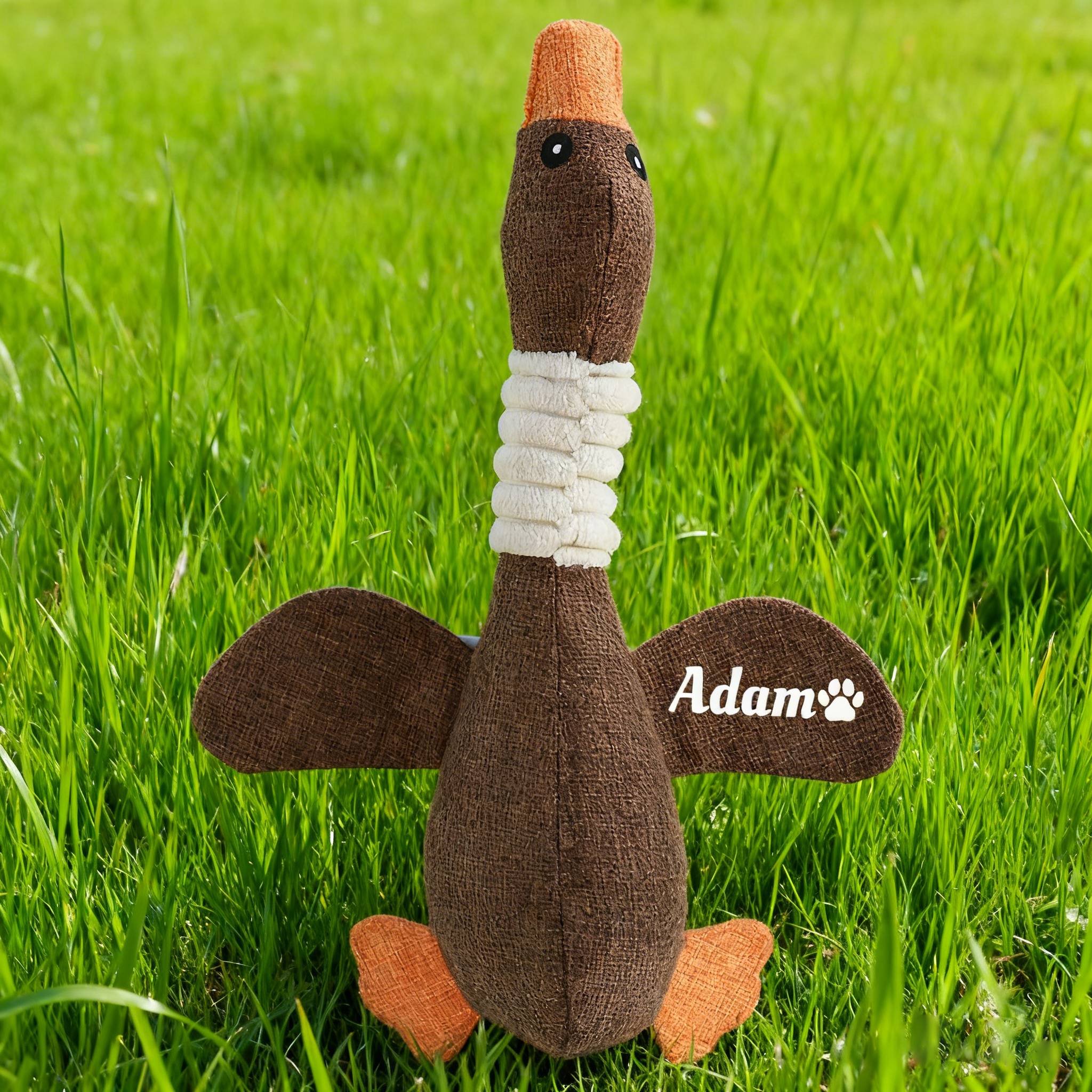Personalized Pet Unique Duck Squeaky Toy | BKPet298