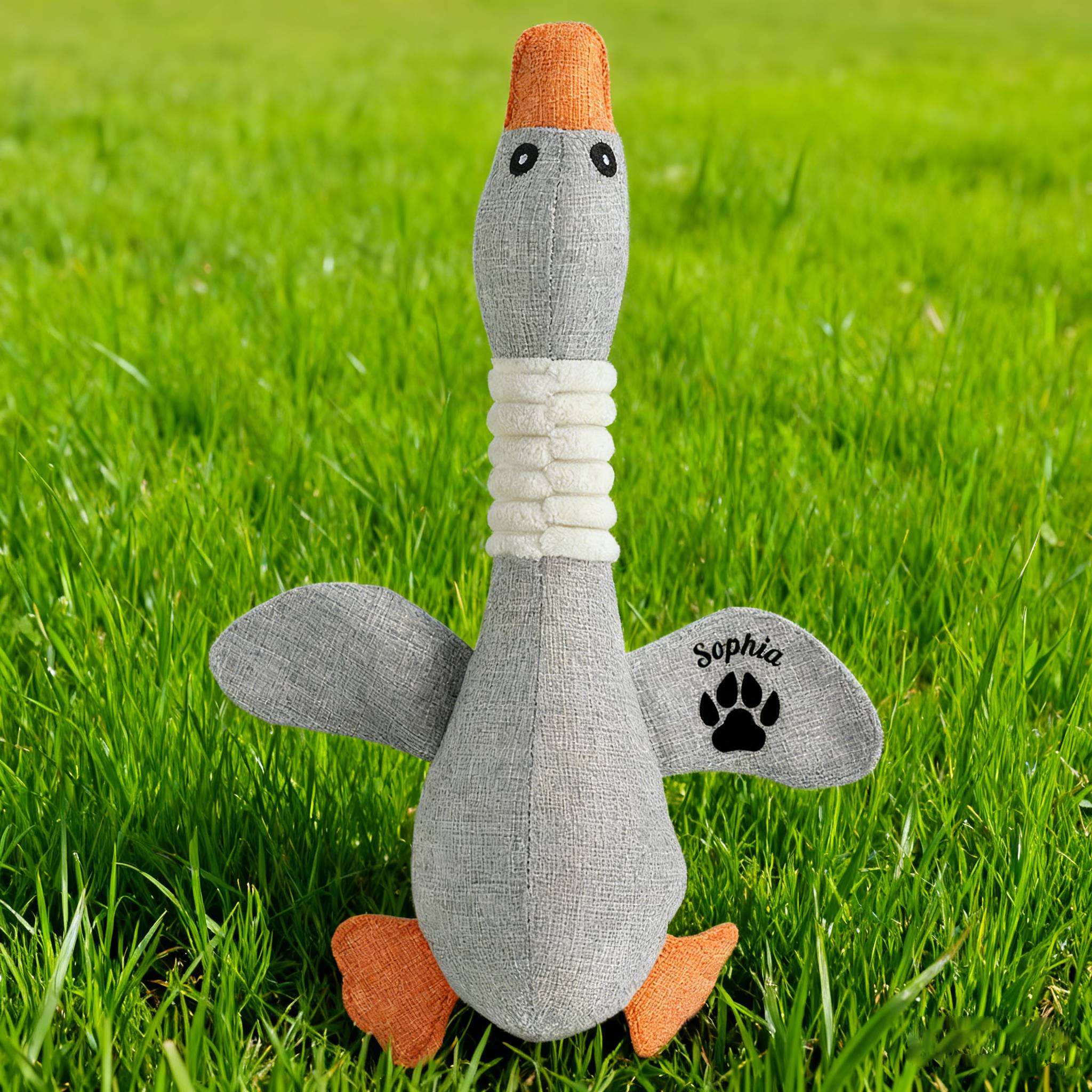 Personalized Pet Unique Duck Squeaky Toy | BKPet298