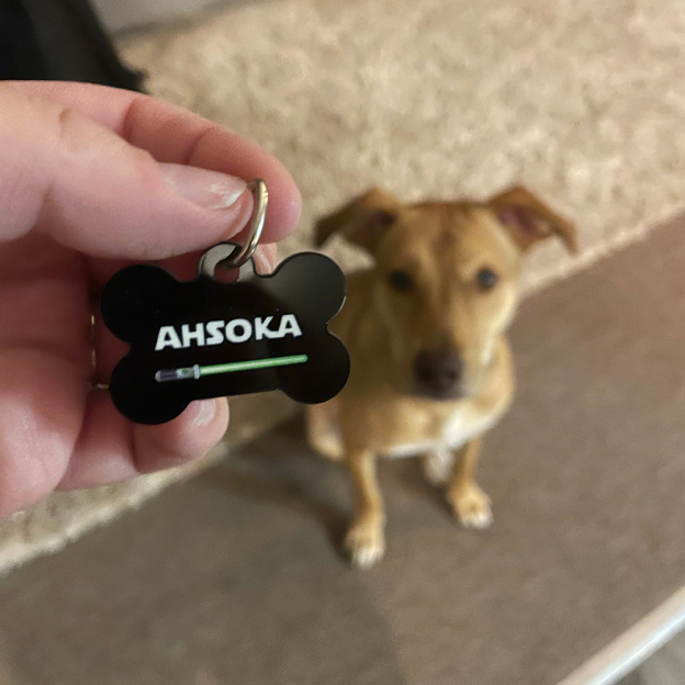 Personalized Pet Bone ID Tag | BKPet168