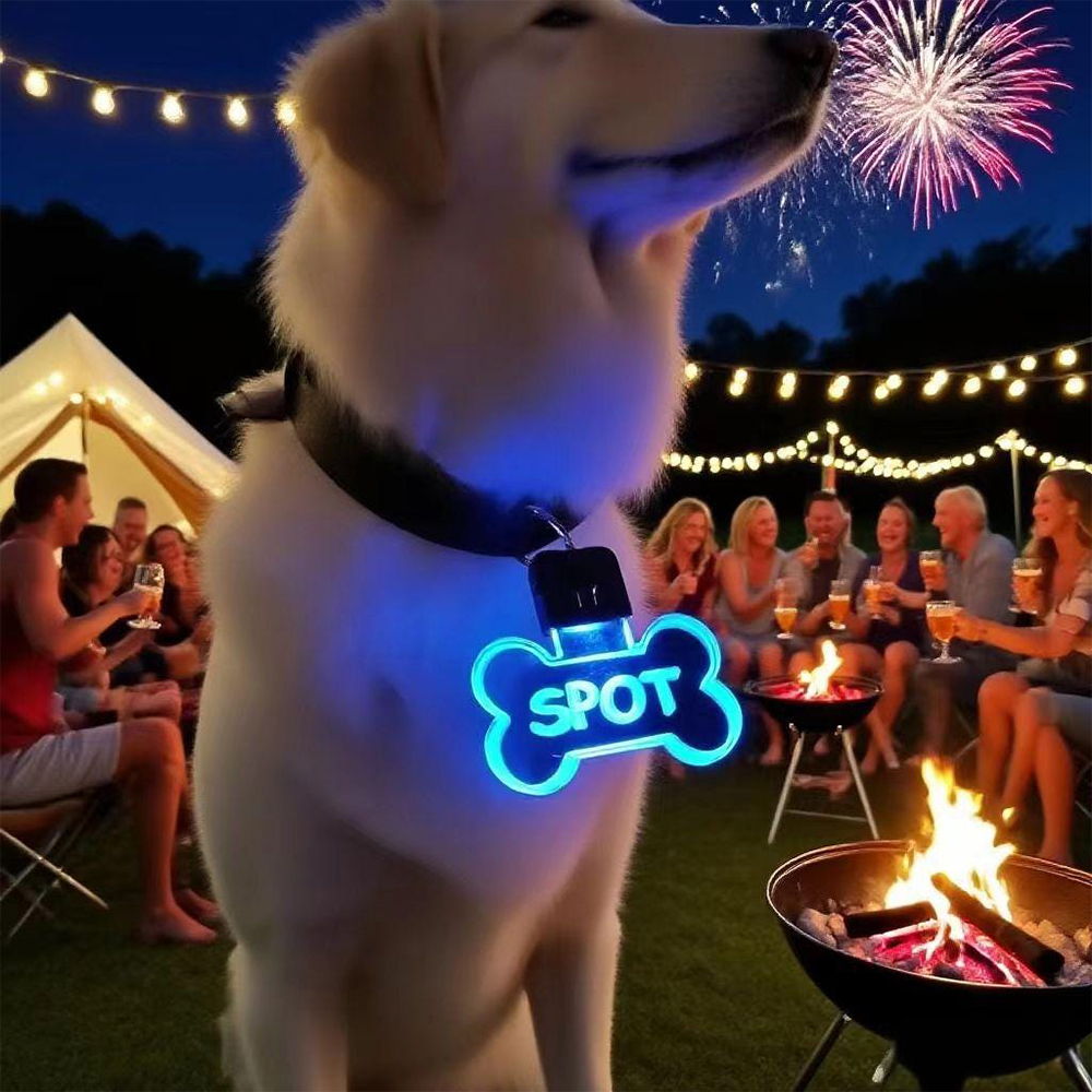 Personalized Color Changing Light Up Pet Acrylic Name Tag | BKPet234