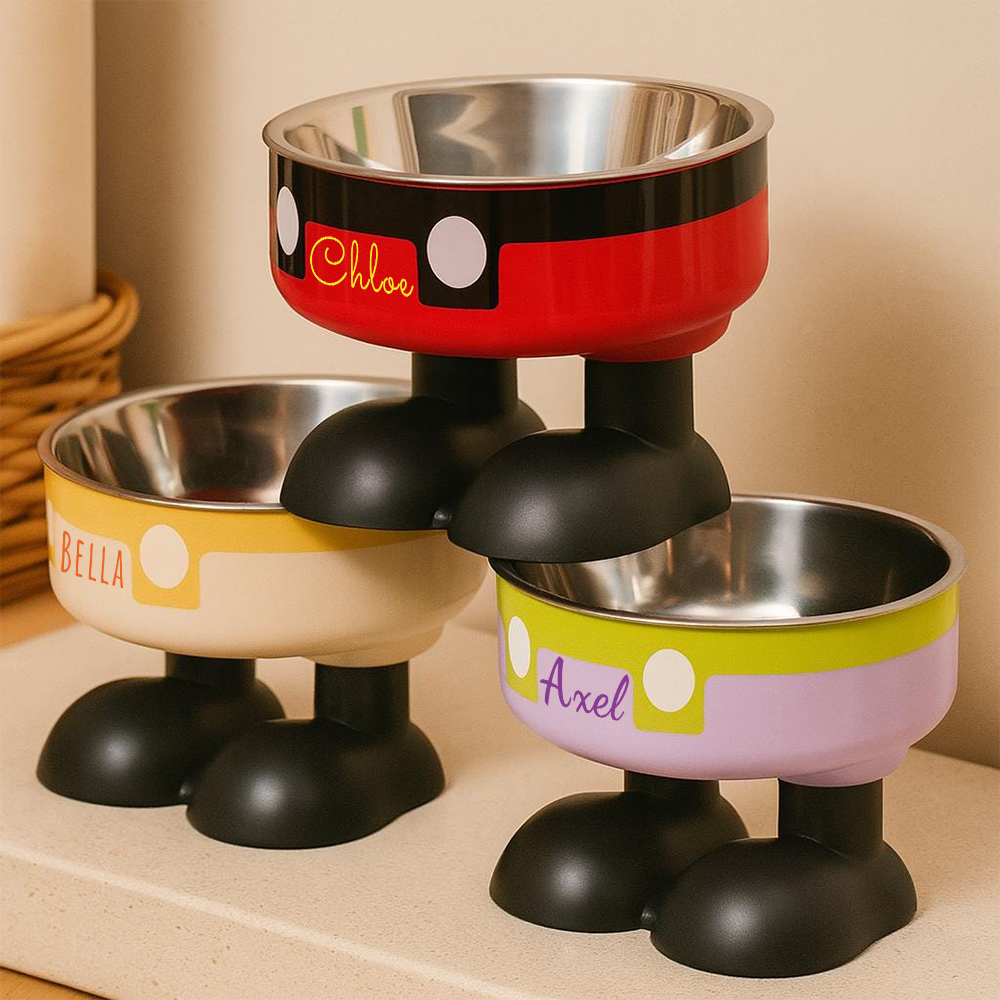 Personalized Stainless Steel Neck Protection Pet Food Bowl | BKPet220