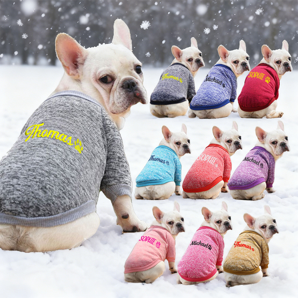 Personalized Embroidery Warm Puppy Hoodie for Comfort & Unique | BKPet296