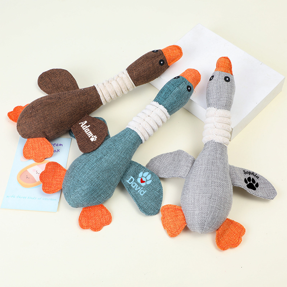 Personalized Pet Unique Duck Squeaky Toy | BKPet298