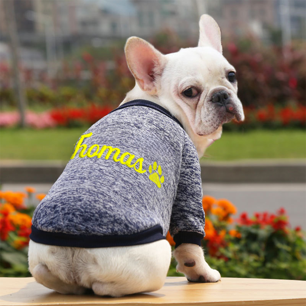 Personalized Embroidery Warm Puppy Hoodie for Comfort & Unique | BKPet296
