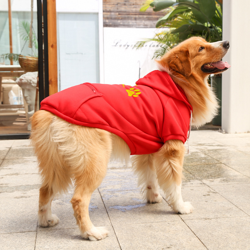 Personalized Warm Puppy Hoodie for Comfort & Unique | BKPet295