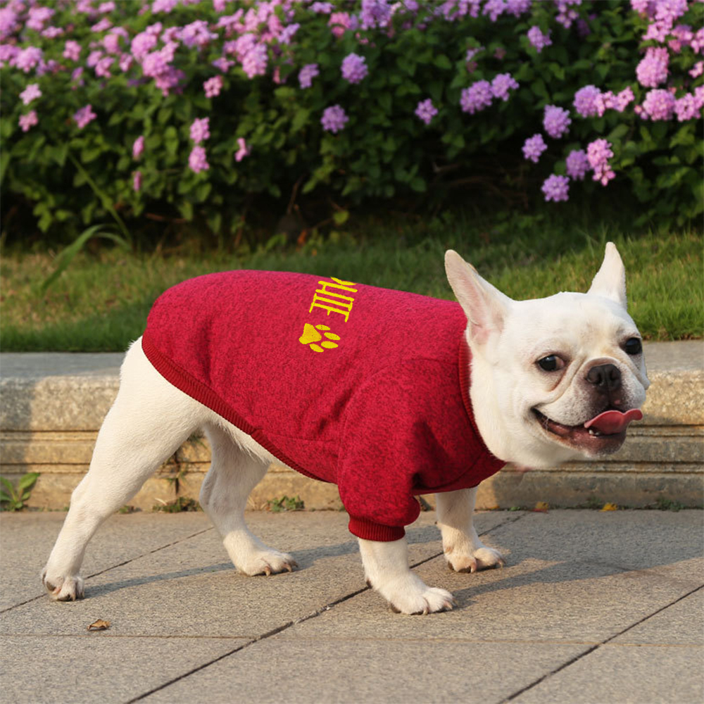 Personalized Embroidery Warm Puppy Hoodie for Comfort & Unique | BKPet296