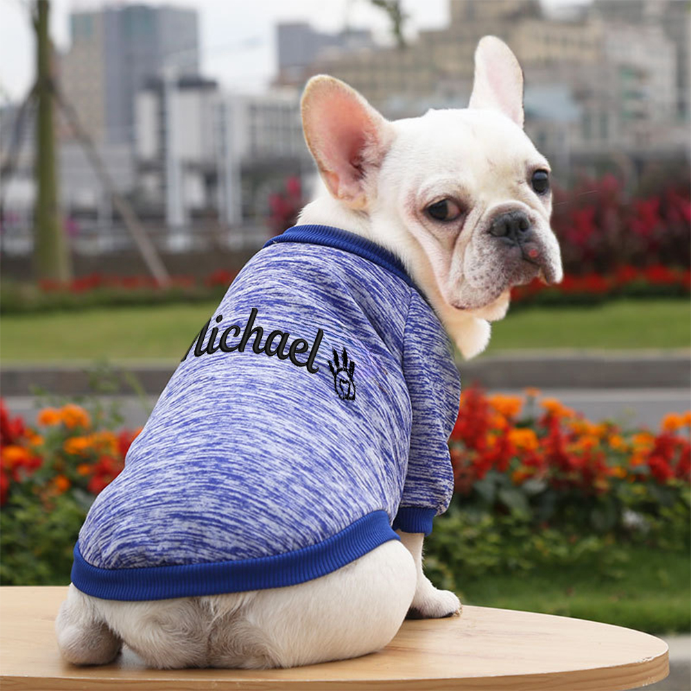 Personalized Embroidery Warm Puppy Hoodie for Comfort & Unique | BKPet296
