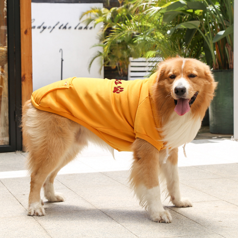 Personalized Warm Puppy Hoodie for Comfort & Unique | BKPet295