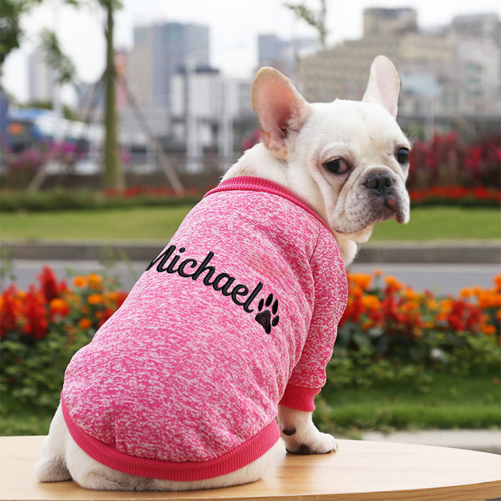 Personalized Embroidery Warm Puppy Hoodie for Comfort & Unique | BKPet296