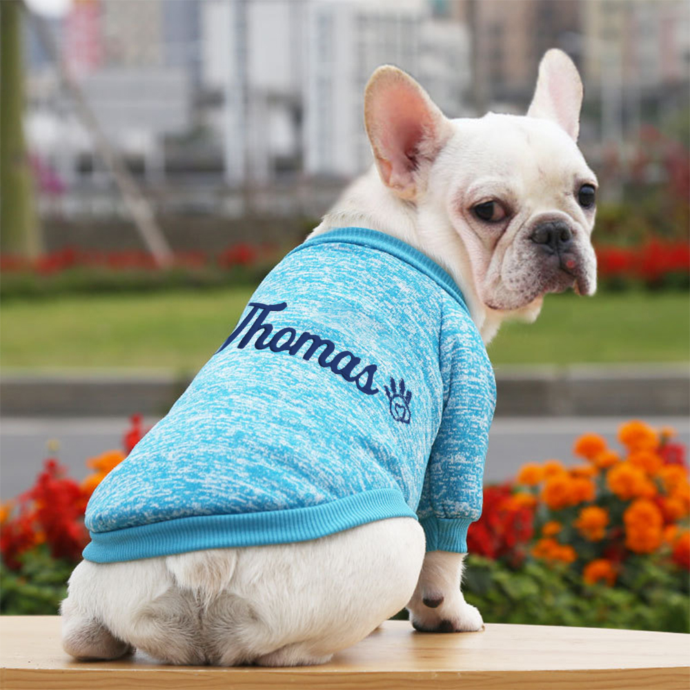 Personalized Embroidery Warm Puppy Hoodie for Comfort & Unique | BKPet296
