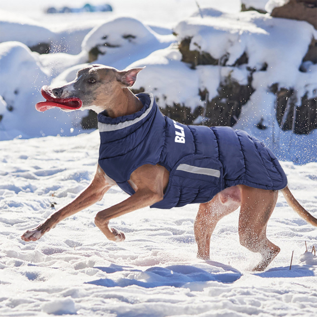 Personalized Pet Winter Warm Reflective Safety Puffer Vest | BKPet287