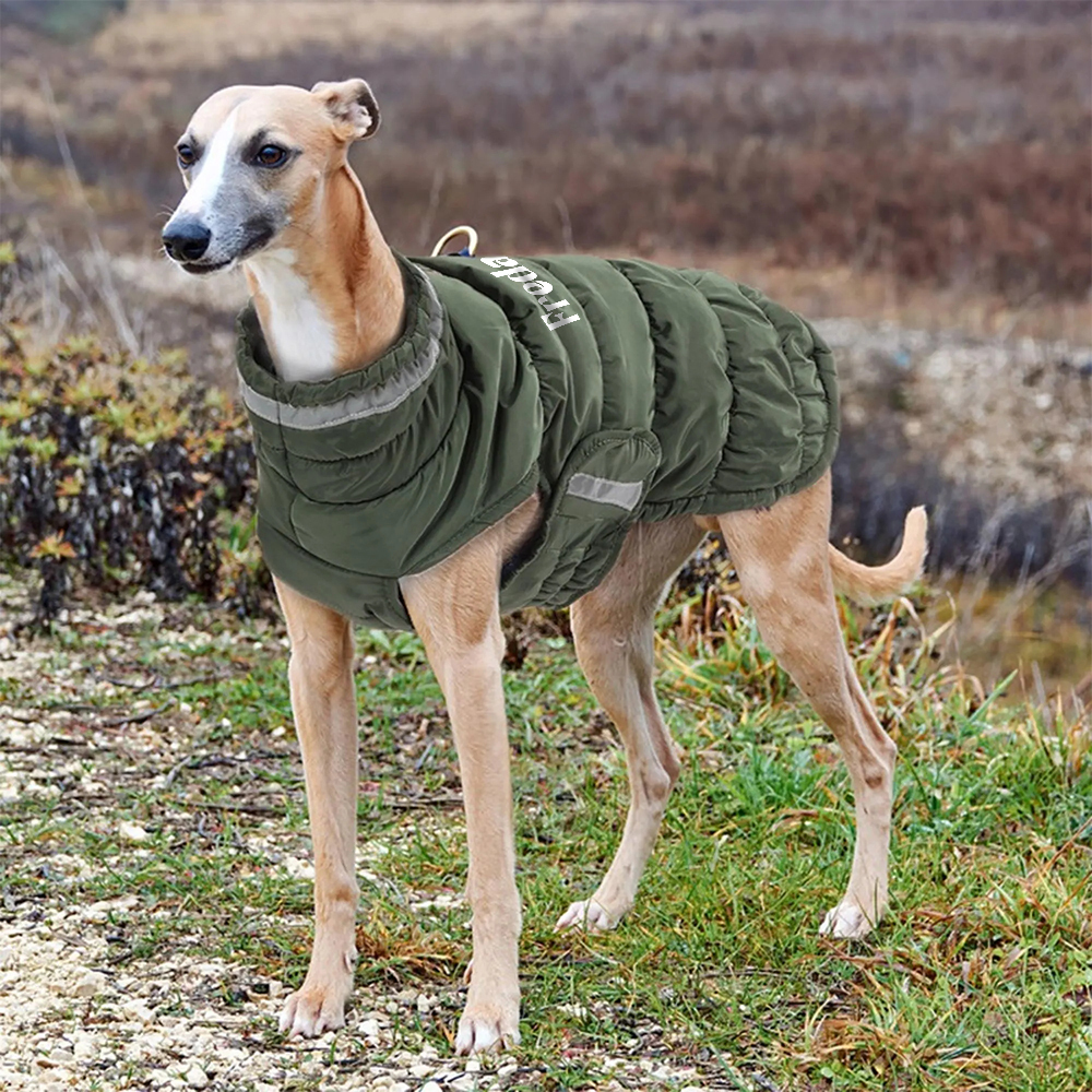 Personalized Pet Winter Warm Reflective Safety Puffer Vest | BKPet287