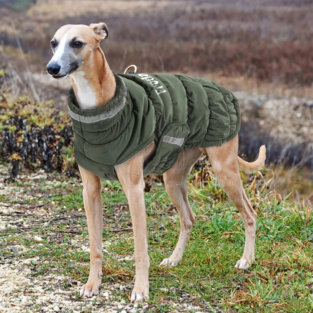 Personalized Pet Winter Warm Reflective Safety Puffer Vest | BKPet287