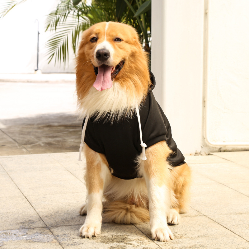 Personalized Warm Puppy Hoodie for Comfort & Unique | BKPet295