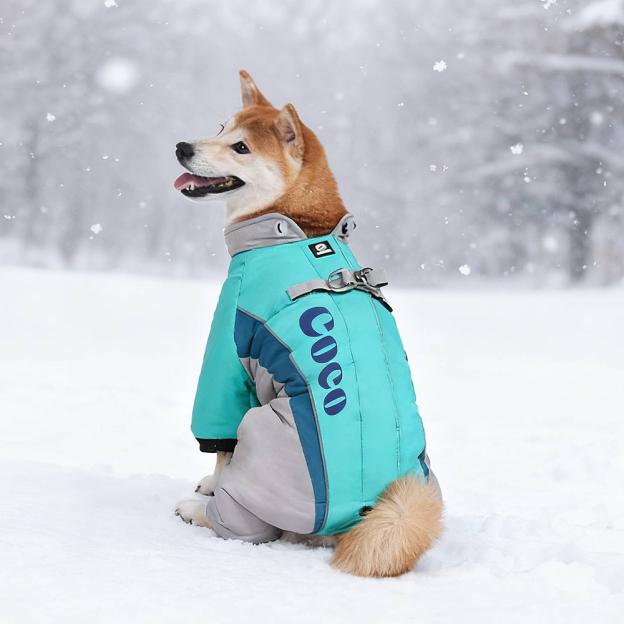 Personalized Pet Winter Warm Windproof Puffer Jacket | BKPet276