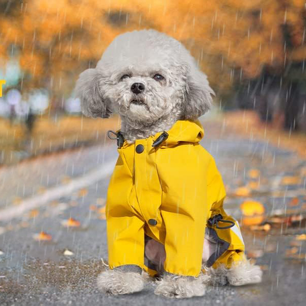 Personalized Pet Waterproop Raincoat with Hood | BKPet346