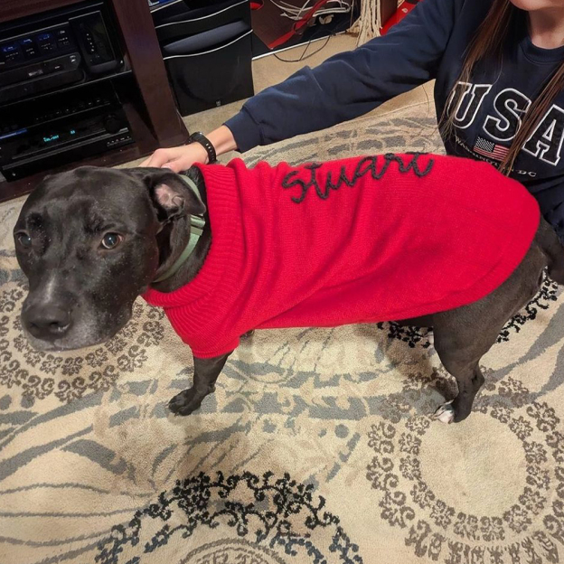 Personalized Hand Embroidery Pets Christmas Knit Sweater | BKPet235