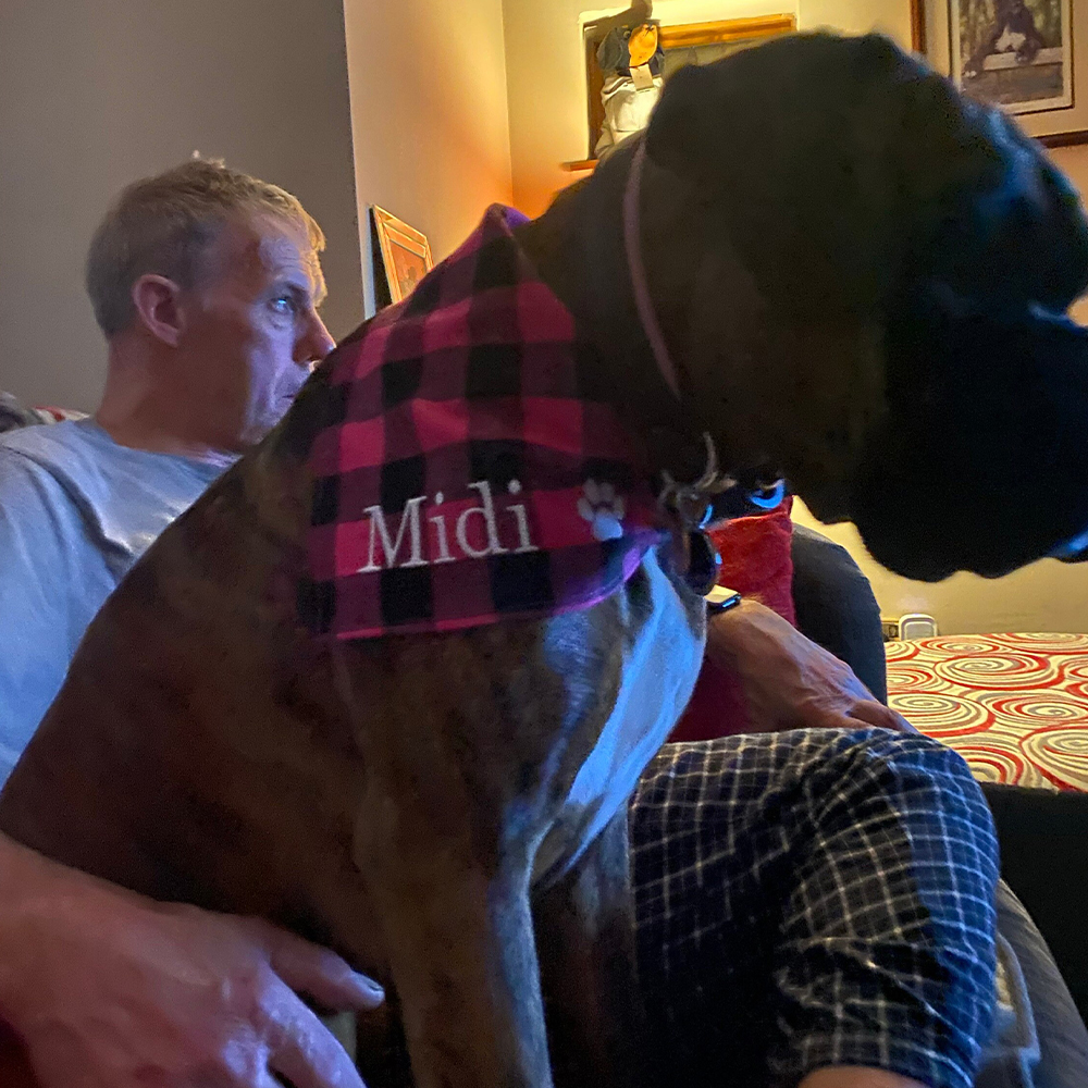 Personalized Embroidered Dog Bandana for Comfort & Unique | BKPet164