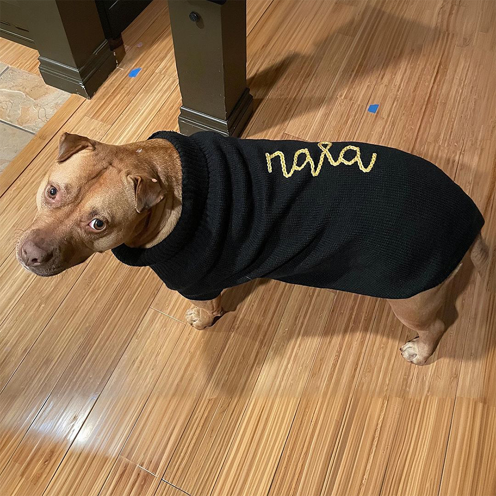 Personalized Hand Embroidery Pets Christmas Knit Sweater | BKPet235