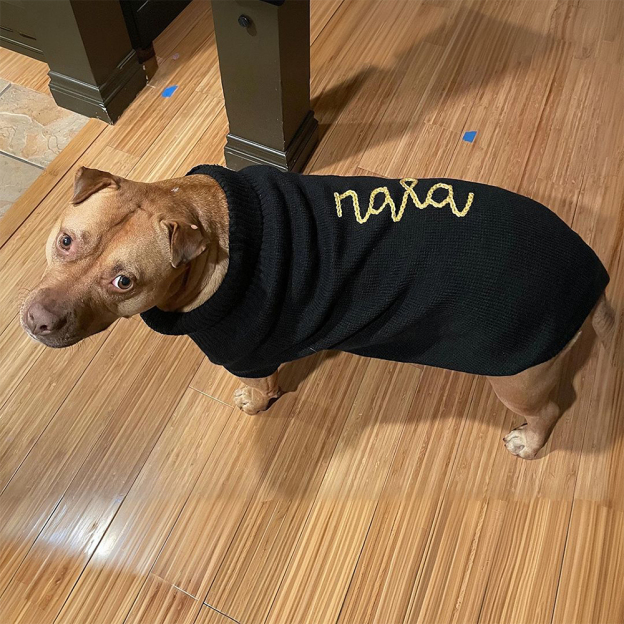 Personalized Hand Embroidery Pets Christmas Knit Sweater | BKPet235