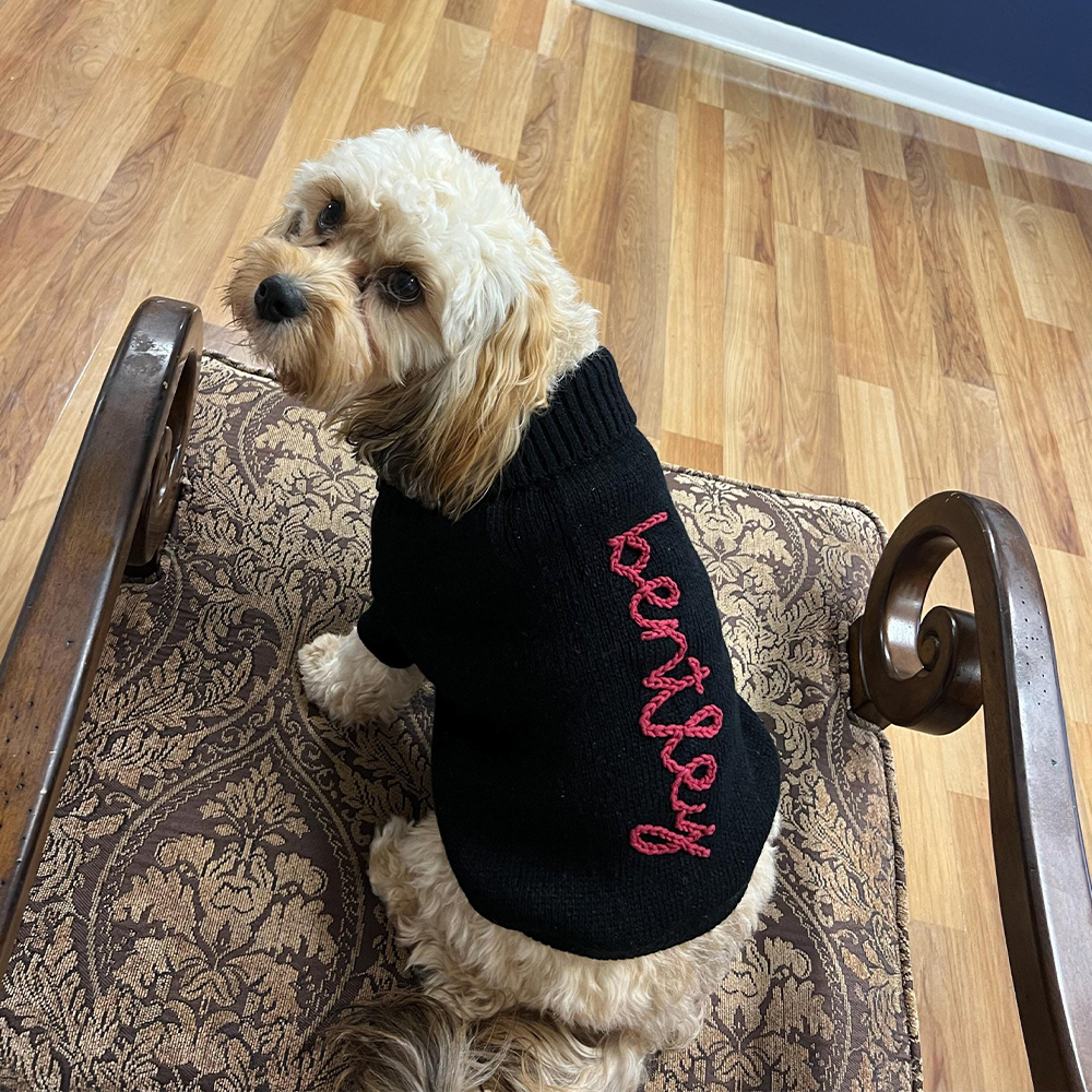 Personalized Hand Embroidery Pets Christmas Knit Sweater | BKPet235