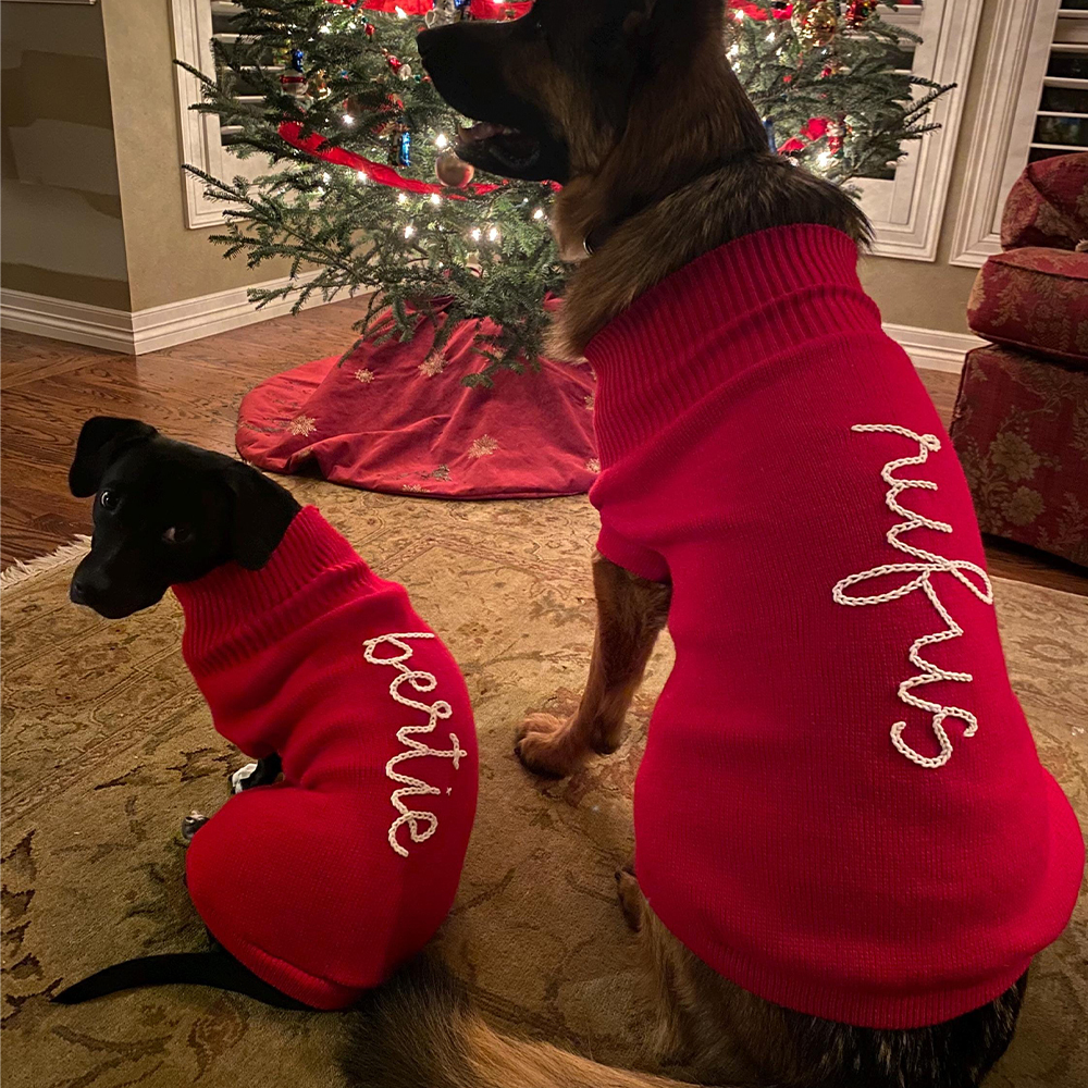 Personalized Hand Embroidery Pets Christmas Knit Sweater | BKPet235