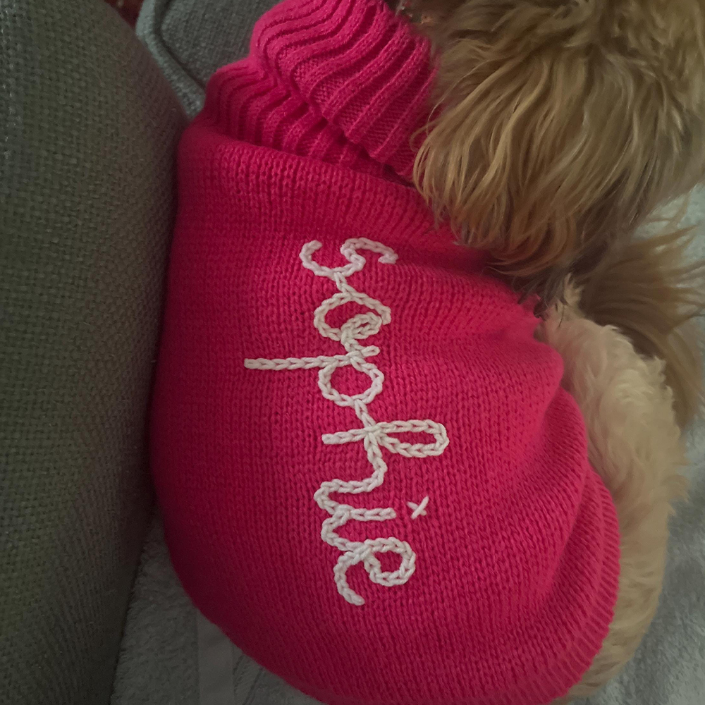 Personalized Hand Embroidery Pets Christmas Knit Sweater | BKPet235
