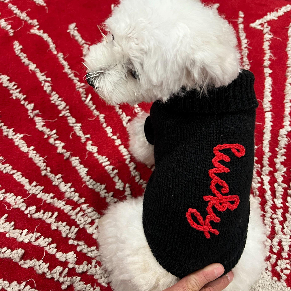 Personalized Hand Embroidery Pets Christmas Knit Sweater | BKPet235